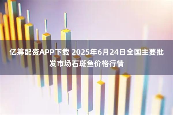 亿筹配资APP下载 2025年6月24日全国主要批发市场石斑鱼价格行情