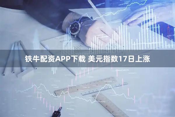 铁牛配资APP下载 美元指数17日上涨